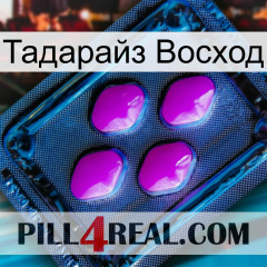 Тадарайз Восход 04